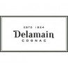 Delamain